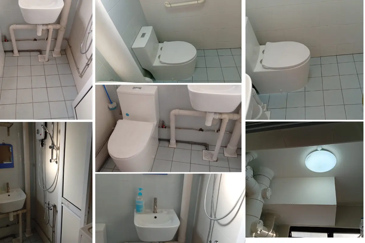 Toilet renovation
